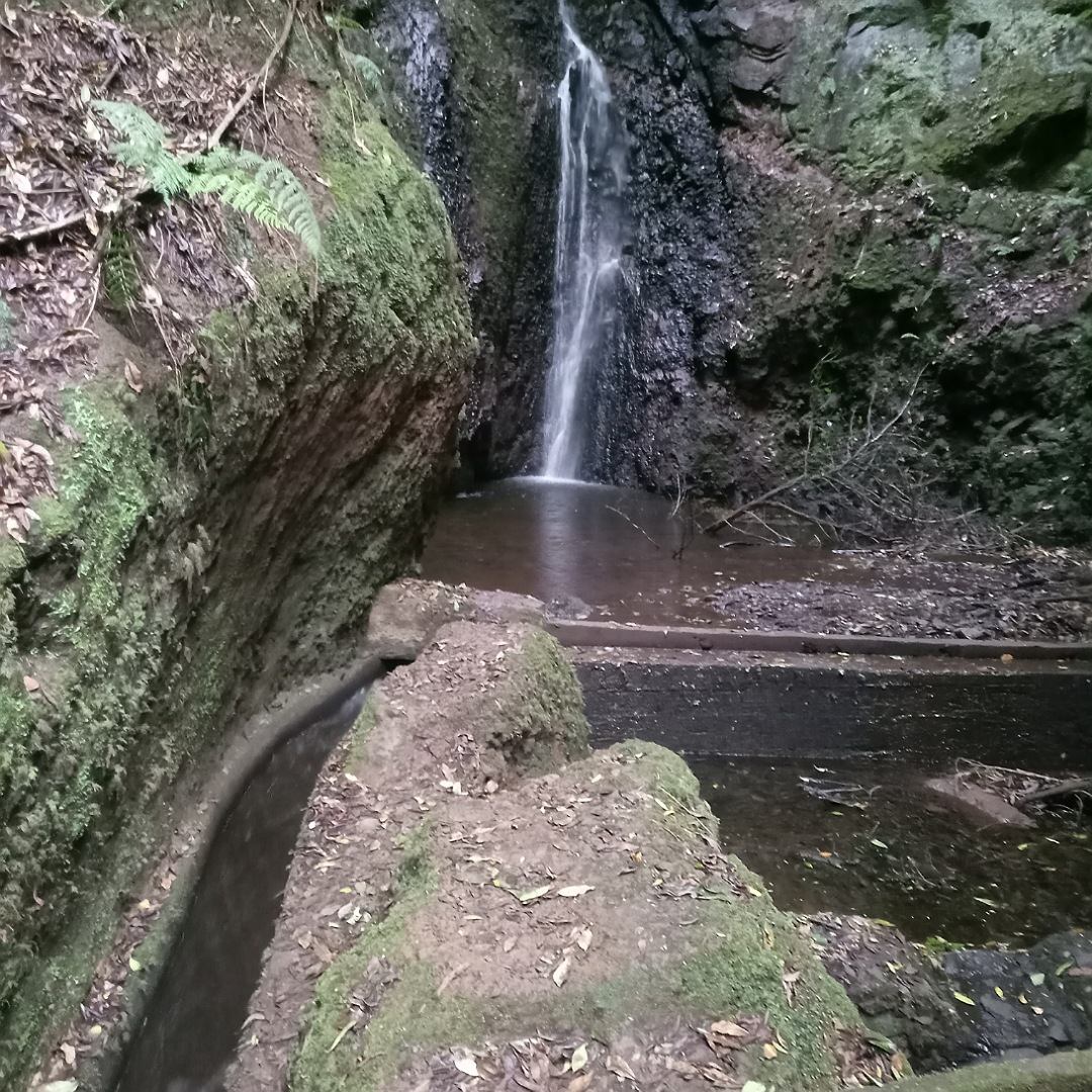 Wandern? Na wenn’s unbedingt sein muss…