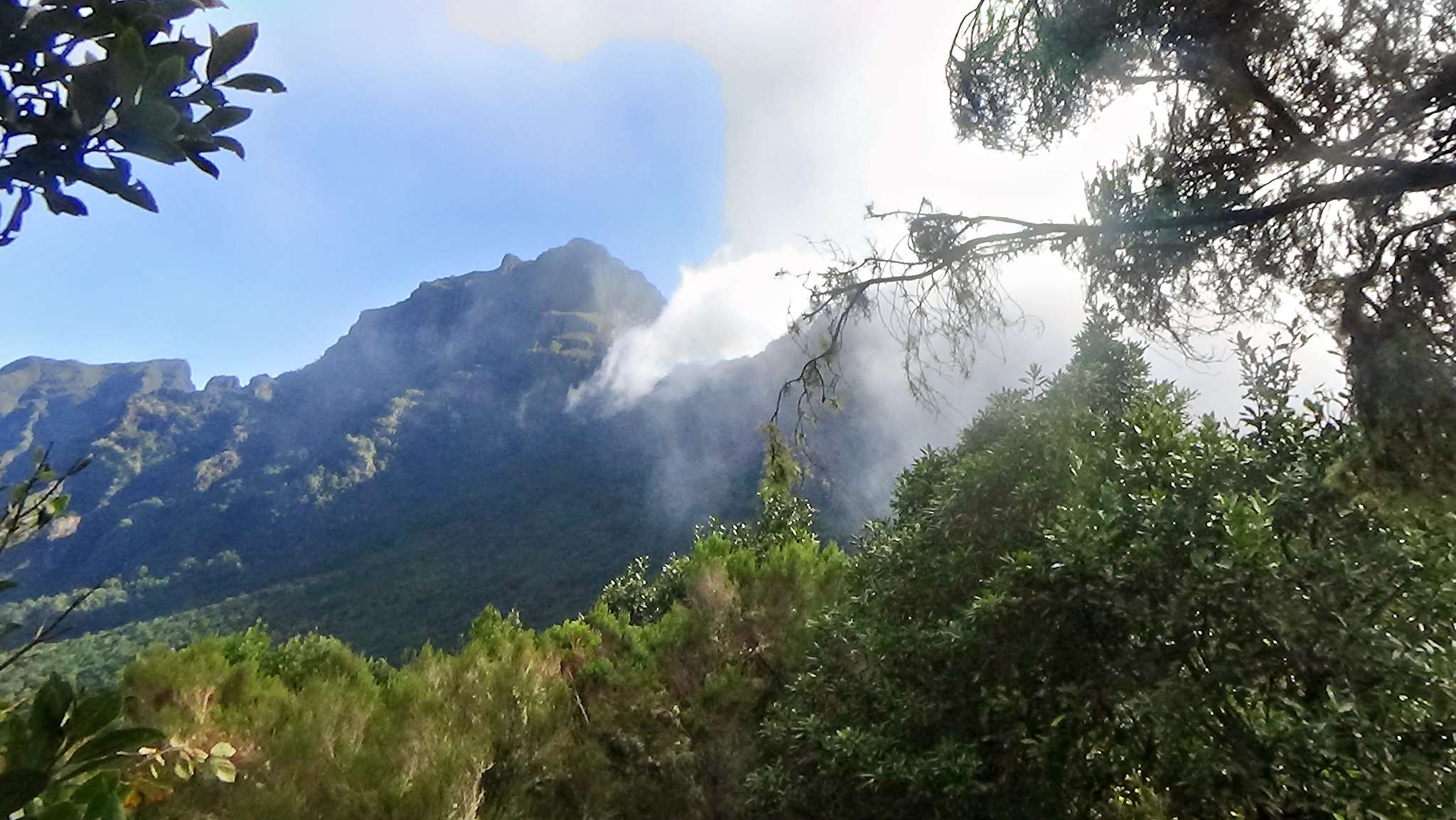 Madeira Februar 2024 Teil 3 von Chao dos Lours nach Estanquinhos
