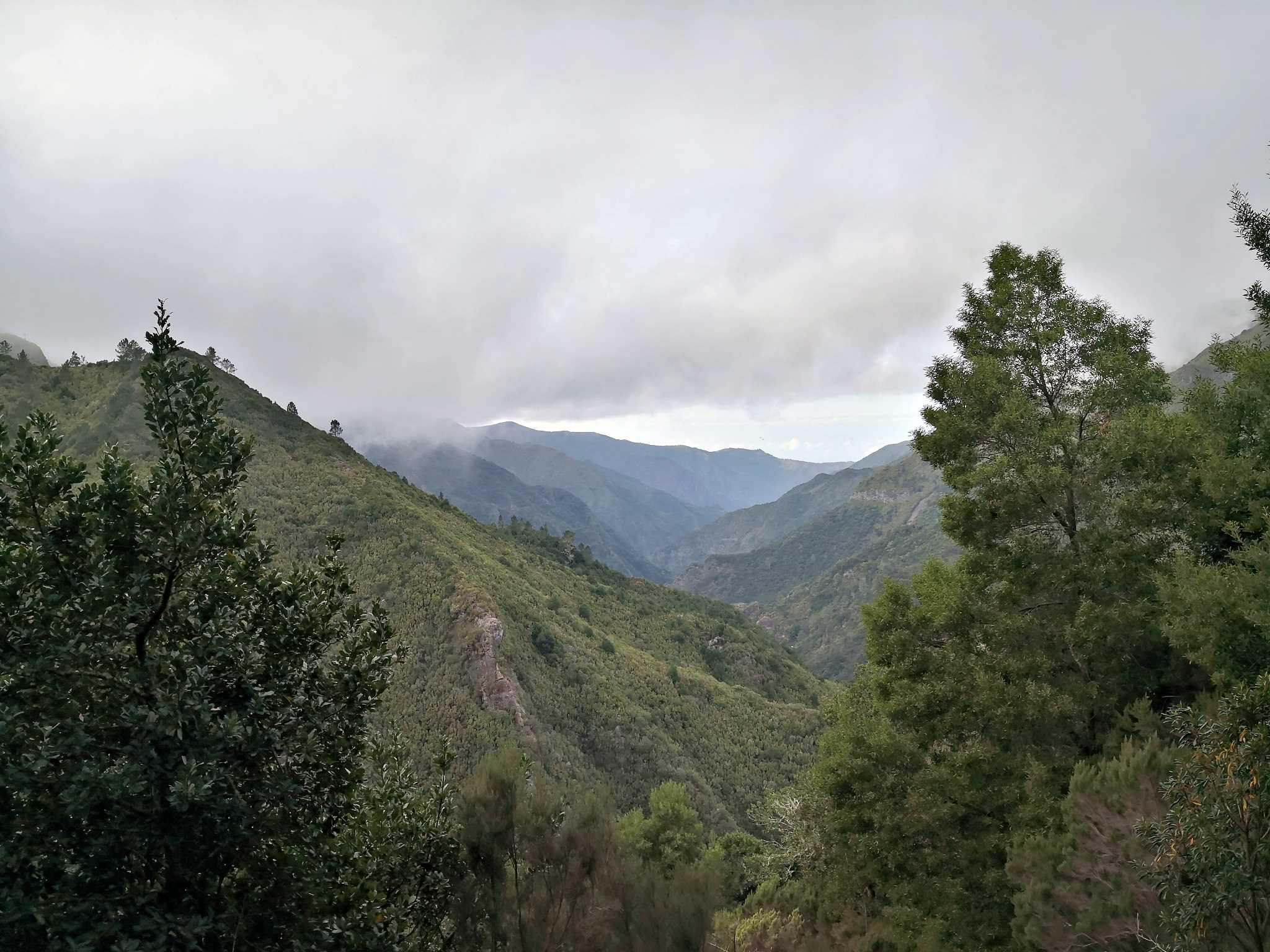 Madeira Februar 2024 Teil 4 von Estanquinhos nach Rabacal
