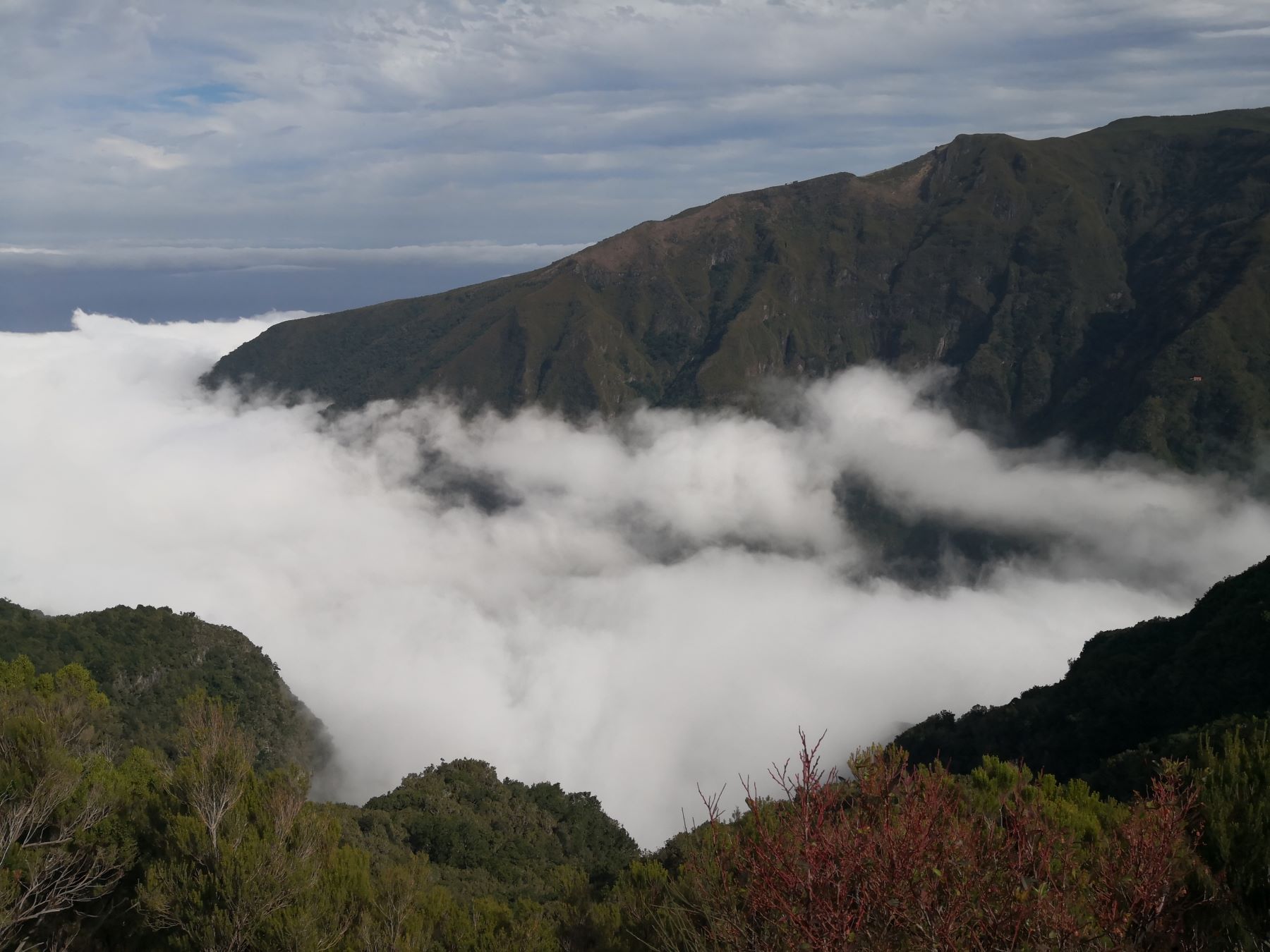 Madeira Februar 2024 Teil 1 Vorbereitung