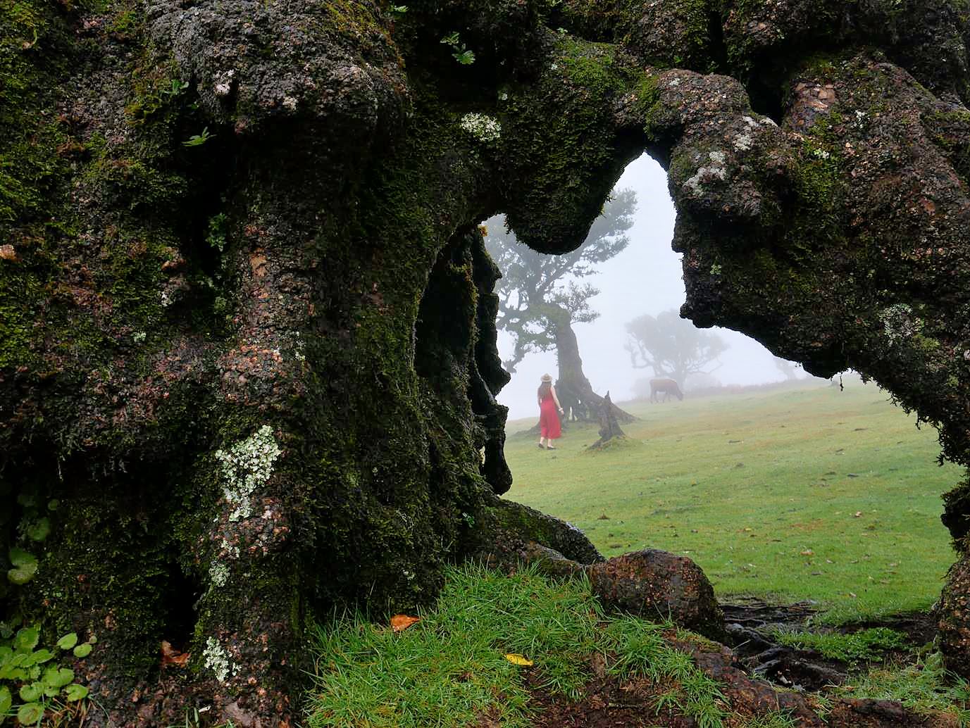 Schon wieder Madeira (Teil 4), das beste Foto dieser Reise